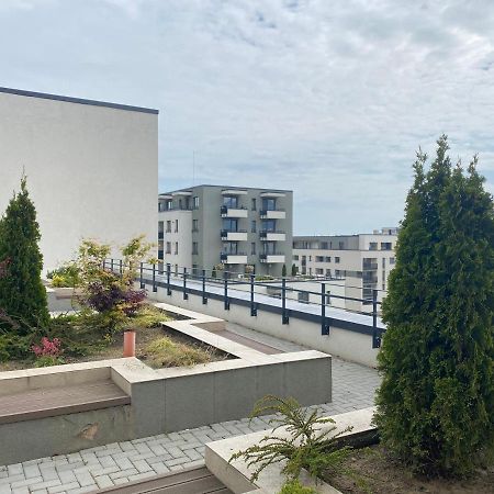 Astoria Apartment - Pet Friendly Braşov Dış mekan fotoğraf