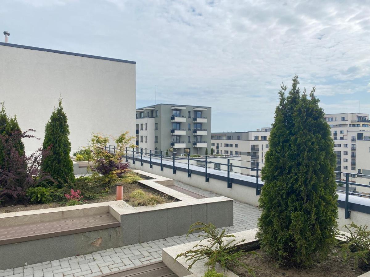 Astoria Apartment - Pet Friendly Braşov Dış mekan fotoğraf