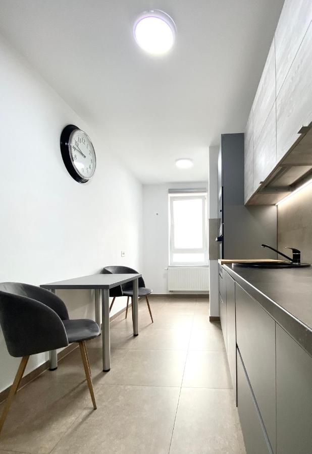 Astoria Apartment - Pet Friendly Braşov Dış mekan fotoğraf